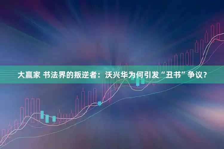 大赢家 书法界的叛逆者：沃兴华为何引发“丑书”争议？