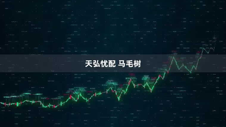 天弘忧配 马毛树